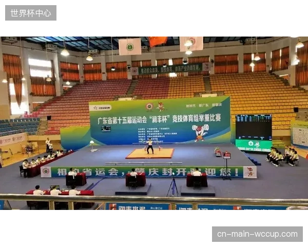 除了门票与广告，我们的体育场馆还能靠什么盈利？
